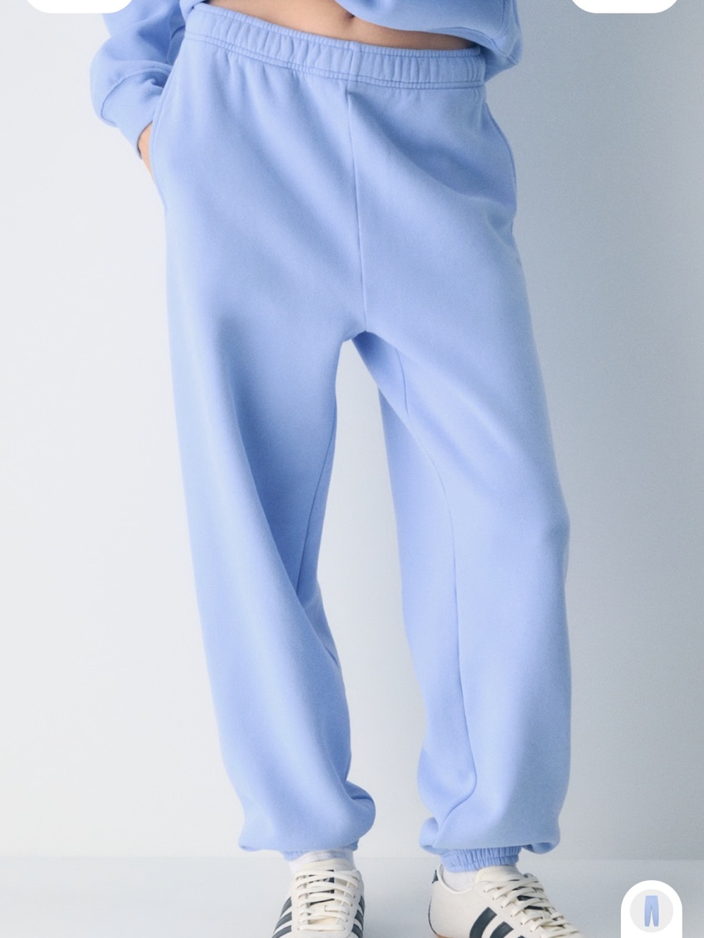 Aritzia Pale Blue Fleece Joggers